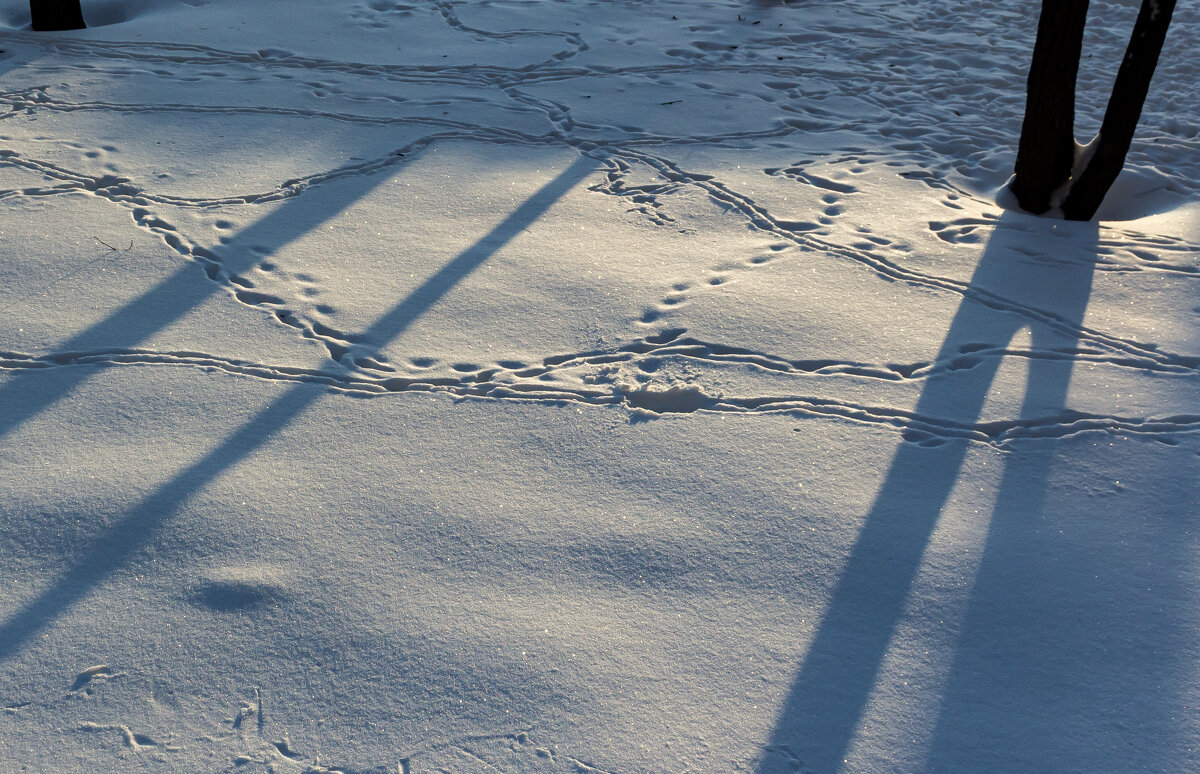 Зима - Михаил К