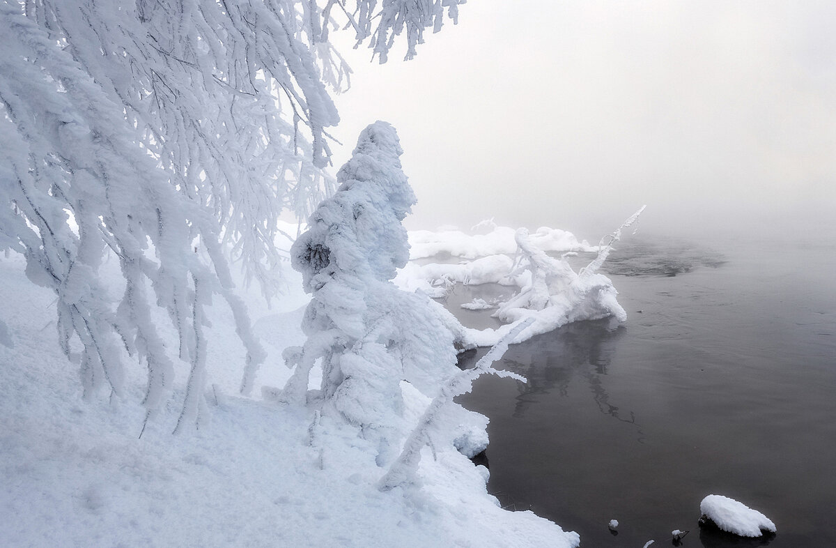 Зимние странники - Марина Фомина.