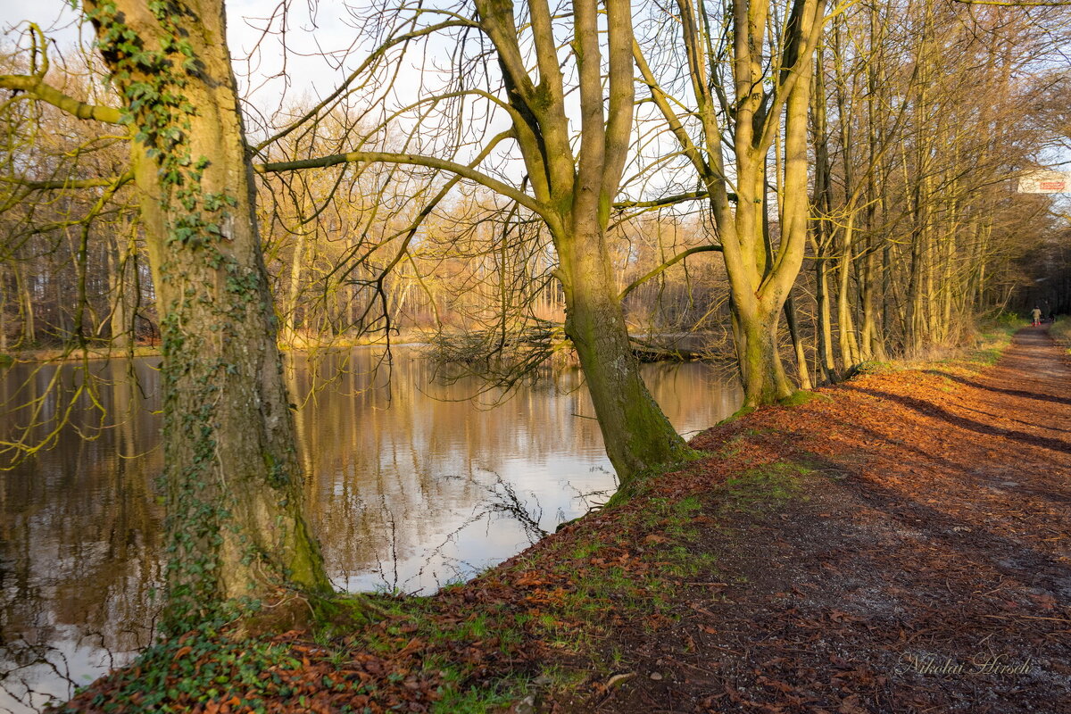 Январское настроение... - Николай Гирш