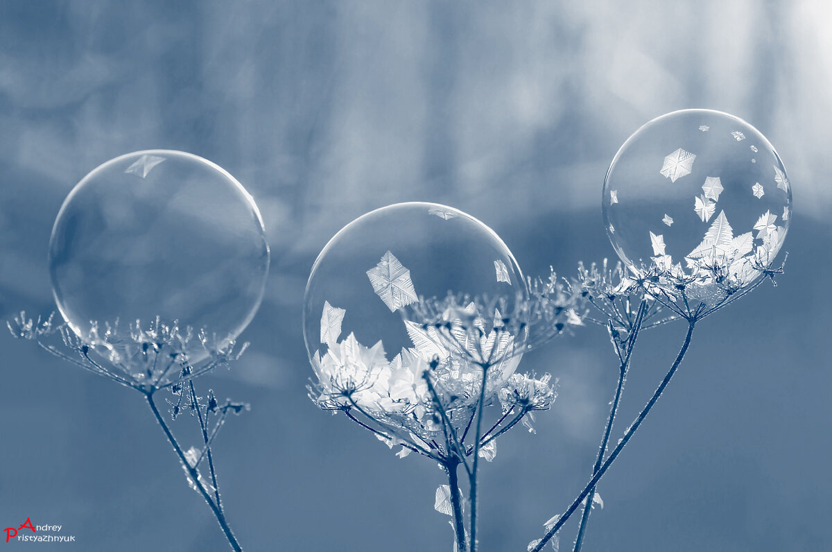 Пузыри - Андрей Пристяжнюк