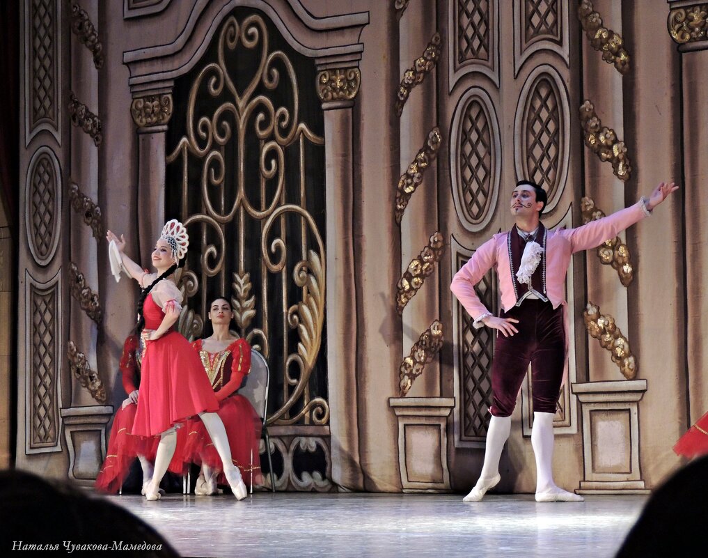 Балет "Золушка" - Ната57 Наталья Мамедова