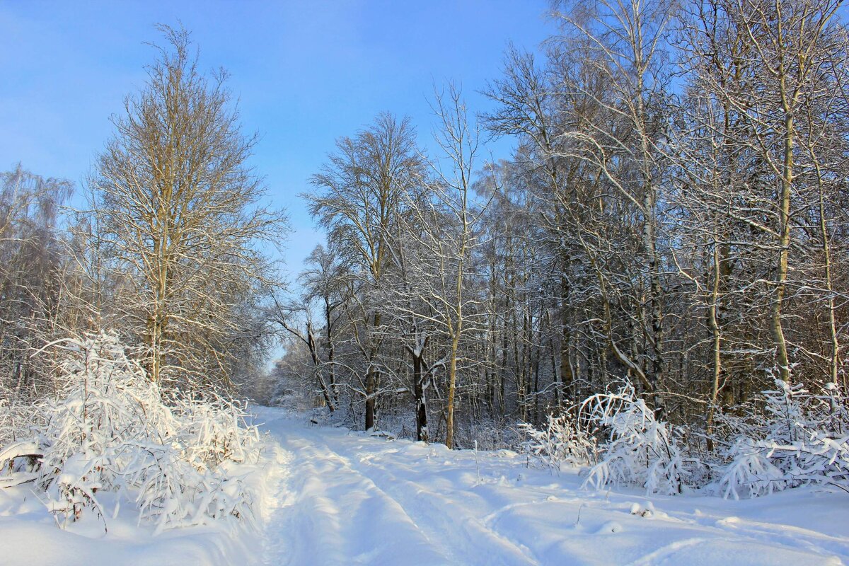 Дорога - Сергей 