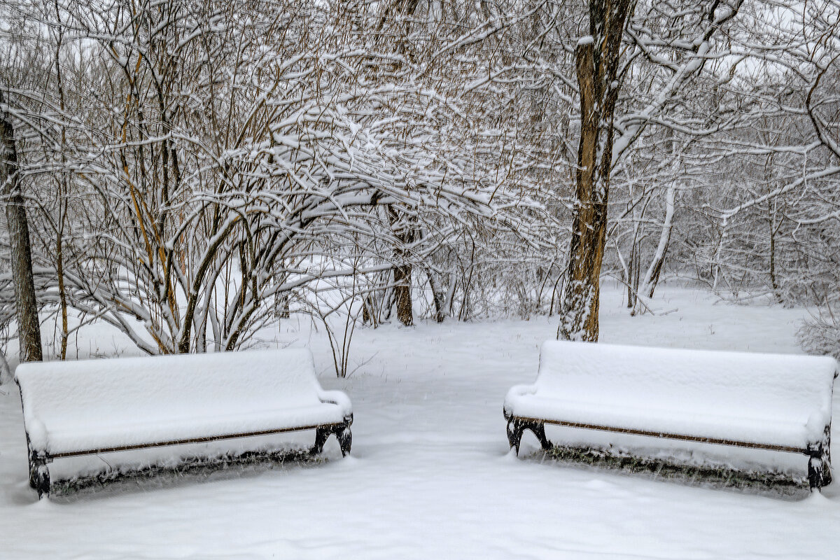 *** - Игорь Протасов