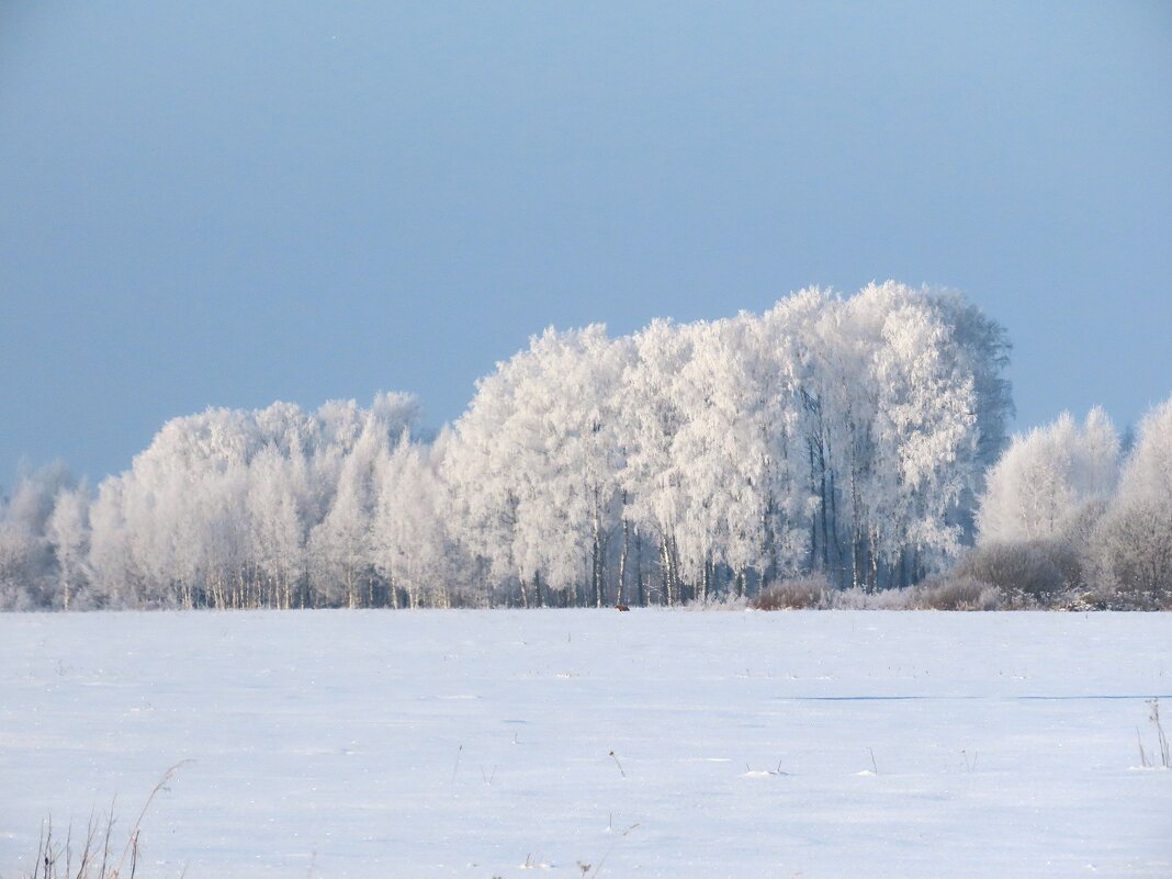 Морозно - Ольга Митрофанова