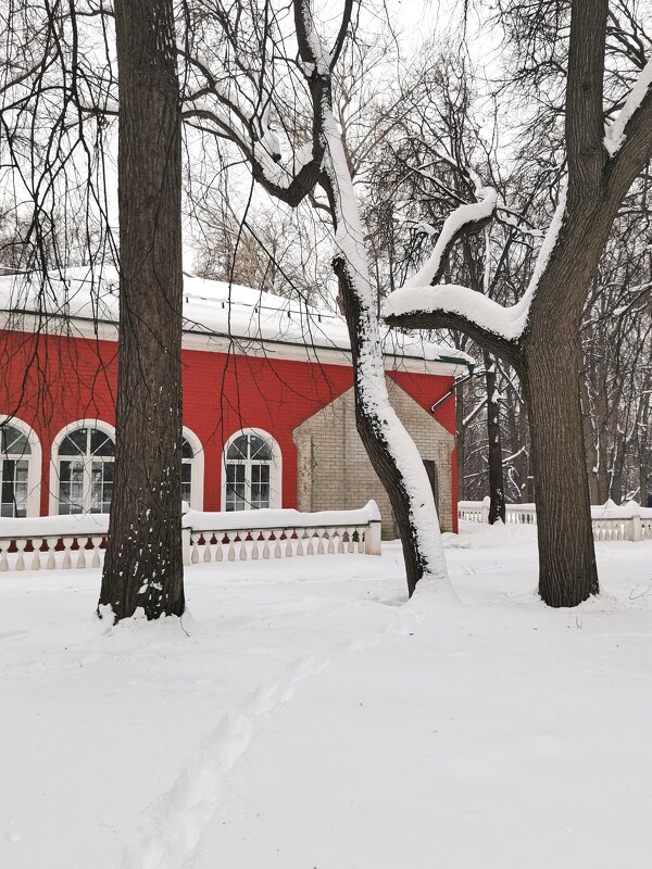 *** - Любимова Ольга 