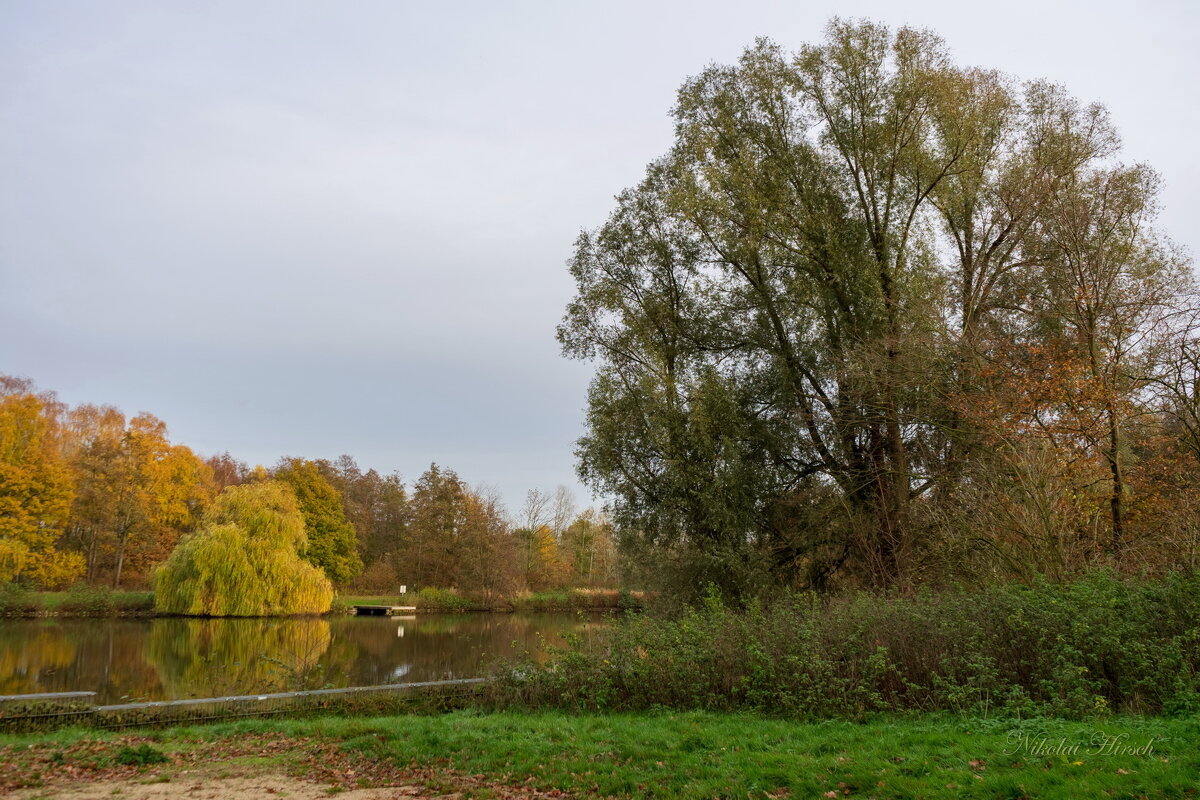 *** - Николай Гирш