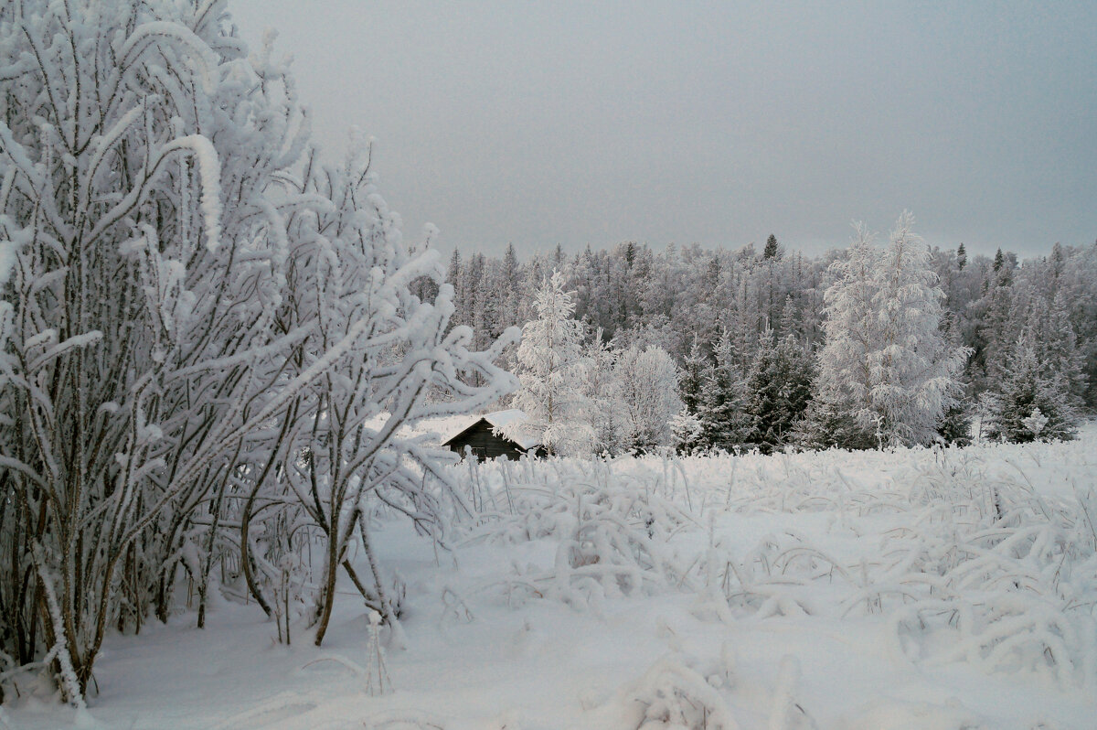 Холодный день - Сергей Ц