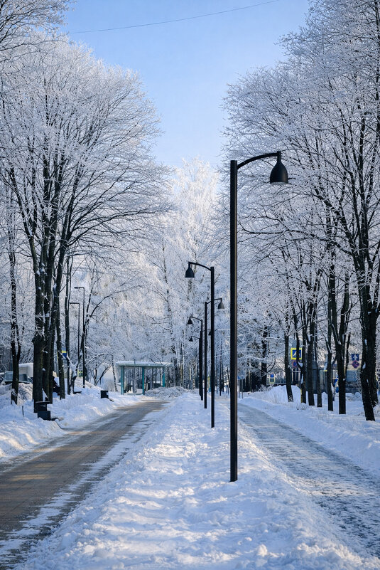 Красота - Дмитрий Колесников