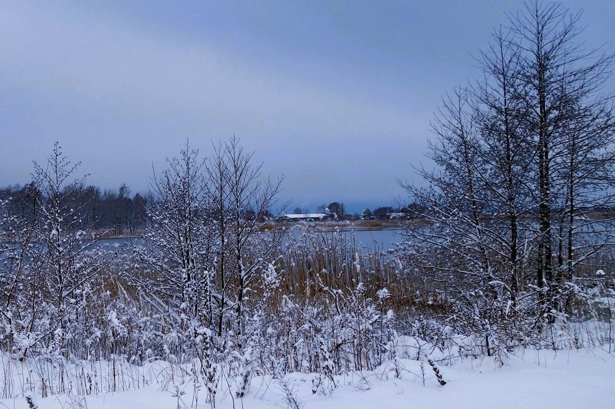 В окрестностях Калининграда - Рита Симонова