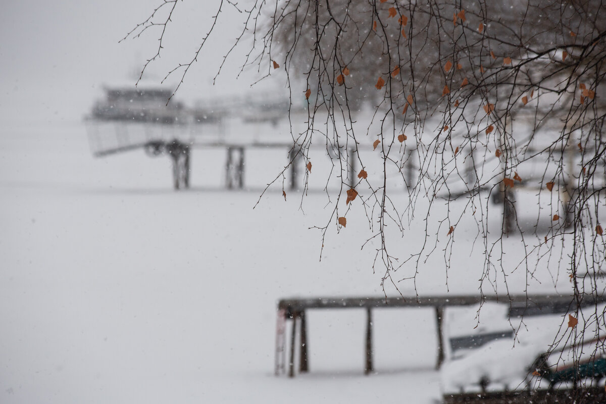Зимний Плёс 1 - Вячеслав Владимирович