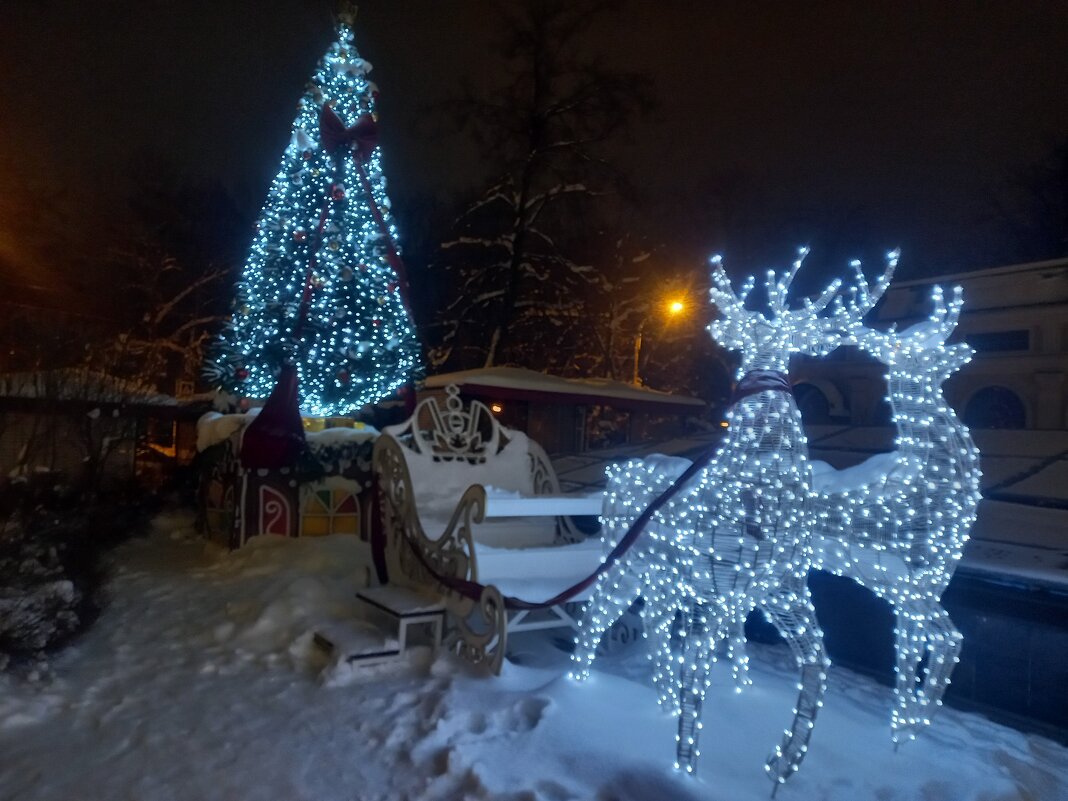 Олени - Сапсан 