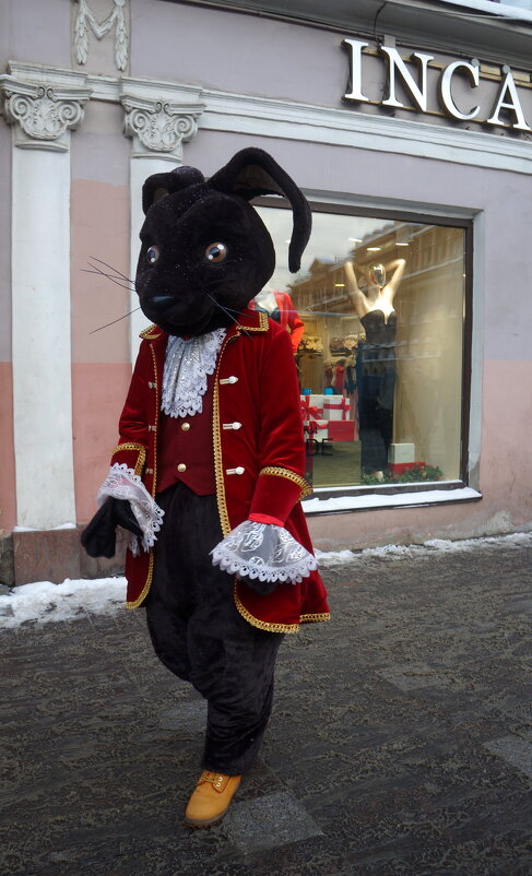 живая реклама - zavitok *