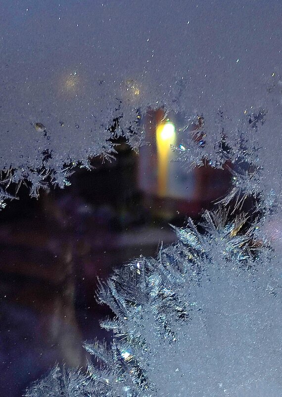 Ночные этюды мороза - Светлана Тихонина