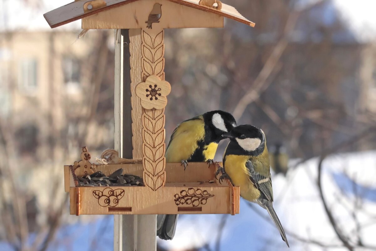 Скажу тебе секрет - наша лазоревка замуж вышла. - Татьяна Бравая
