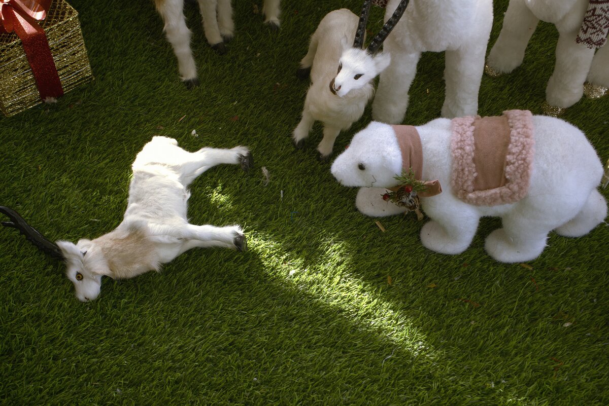 Вставай новый год пришёл он спасет тебя - ujgcvbif 