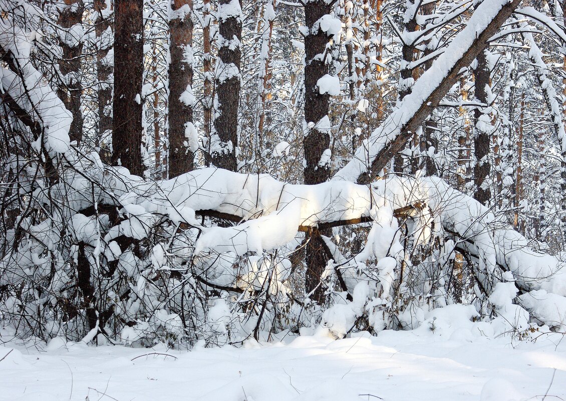 В городском парке - Галина Нестратова