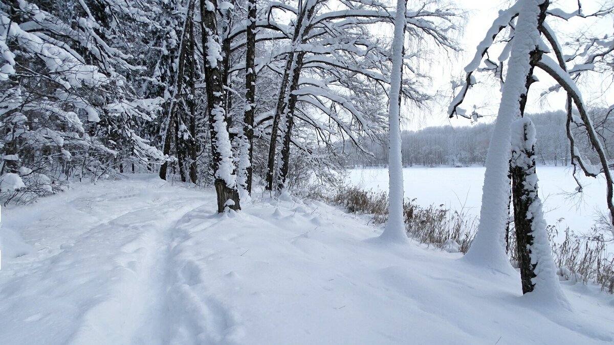 Смоленщине в январе. - Милешкин Владимир Алексеевич 