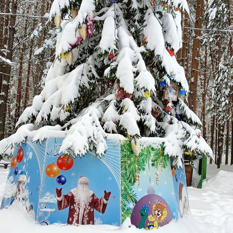 Дед Мороз в гневе елку заблокировали - Владимир 