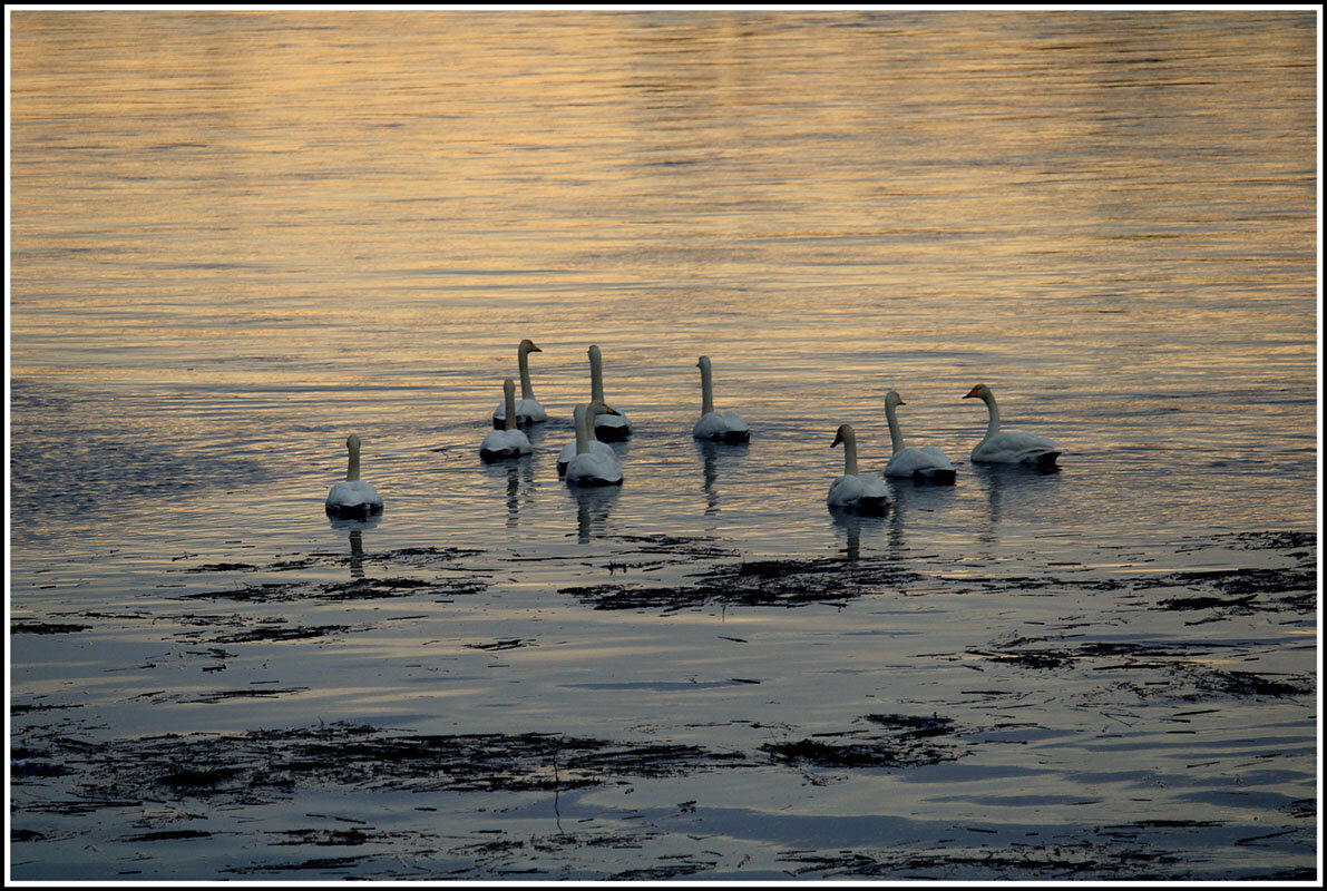 Настало времечко - Aleksandr Gal