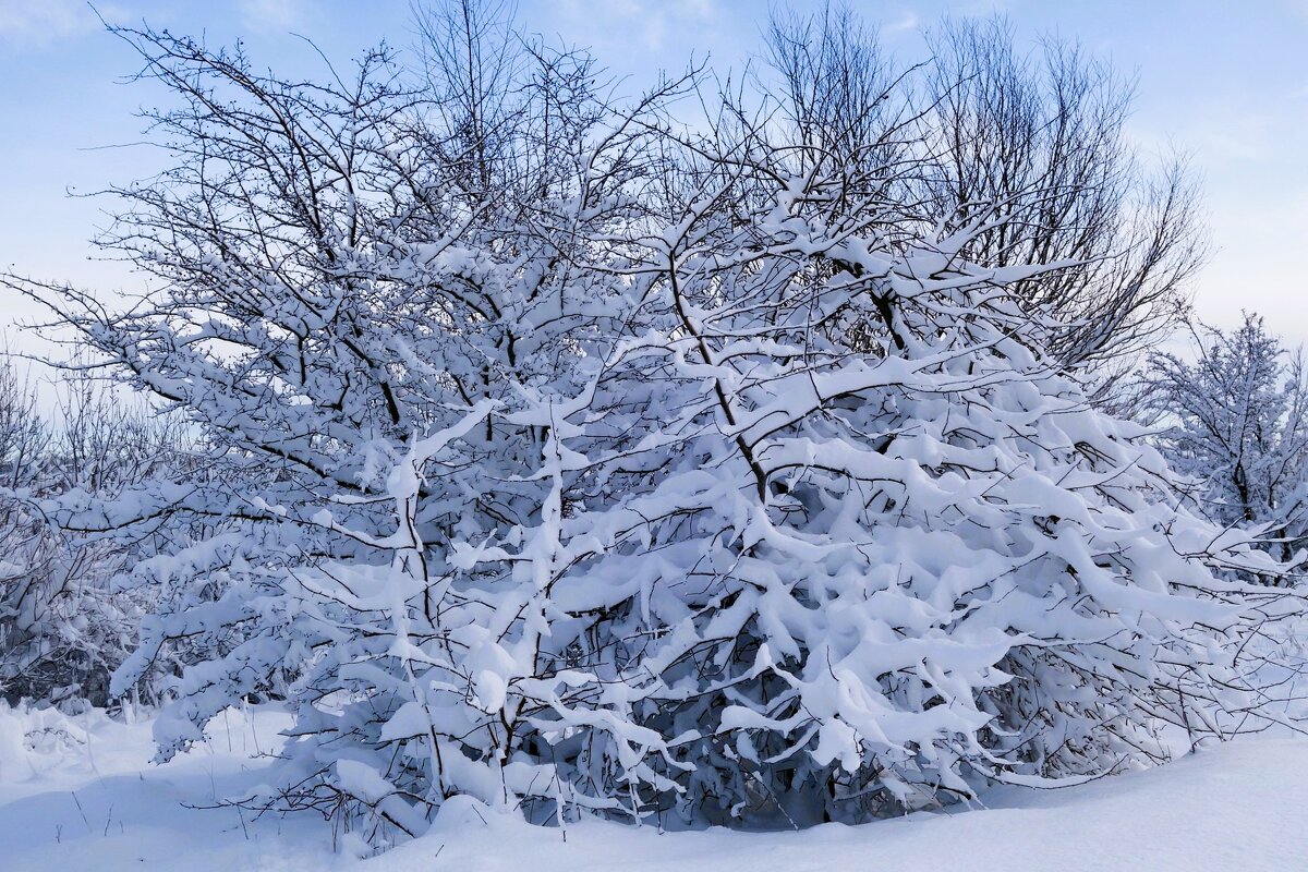 Зимние этюды - Рита Симонова