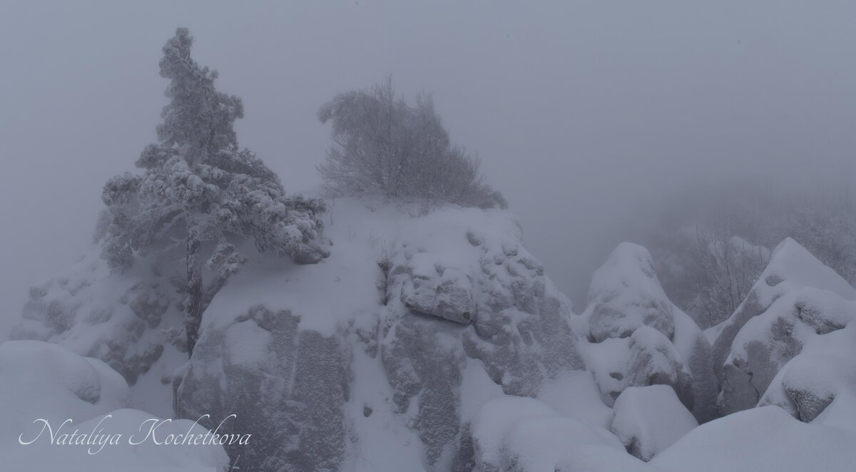 Природа Крыма - Amazing Cosmea