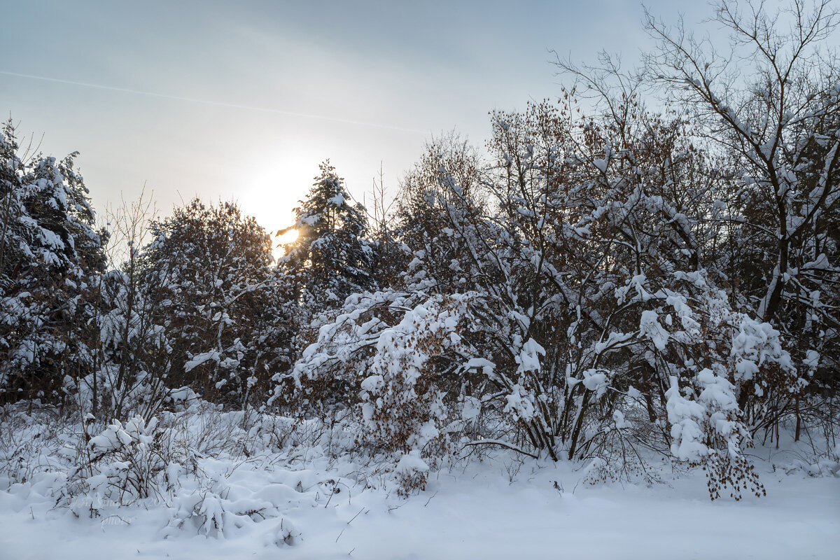 Зимний солнечный пейзаж - Александр Синдерёв