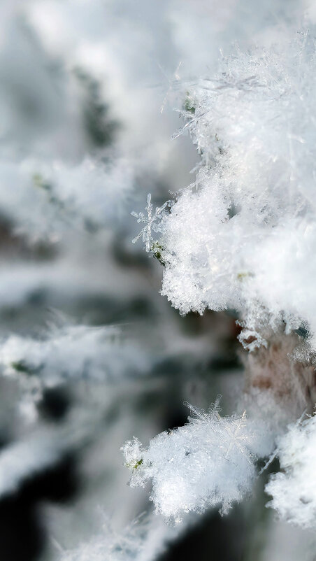 Снег не хаос, а практически безупречный порядок - Алексей 