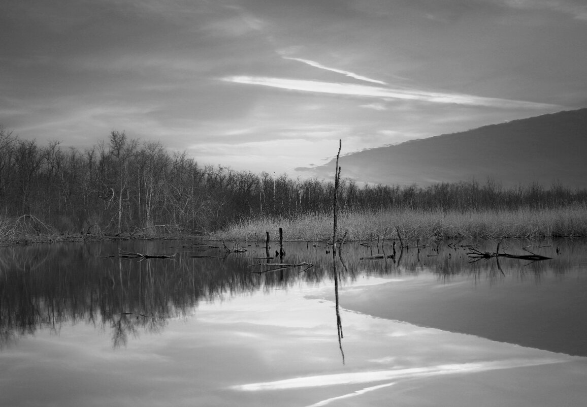 *** - Александр. AVG100 ---