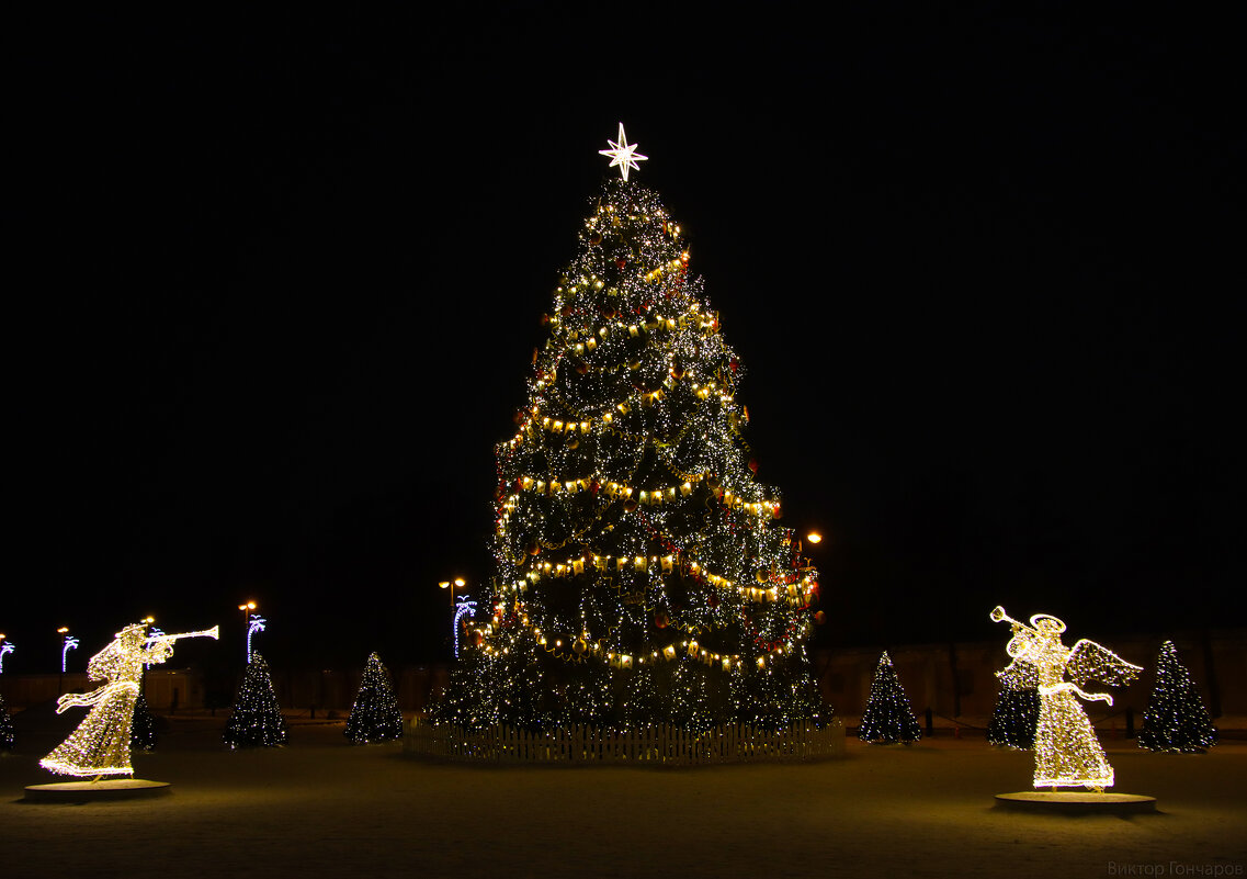 ёлка,Кронштадт - Laryan1 