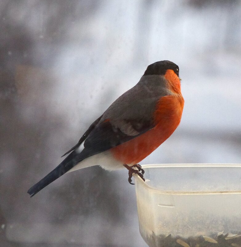 Вчера... вечер... - Юрий Куликов