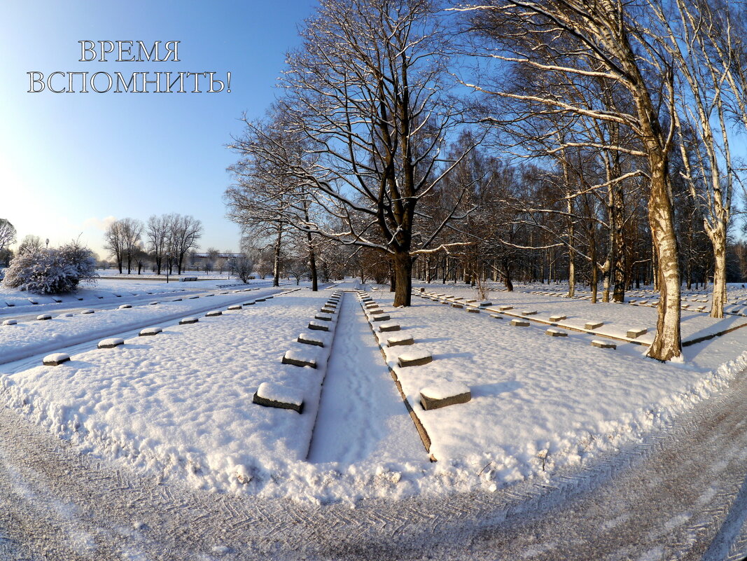 ...Я ГОВОРЮ С ТОБОЙ - Юрий Велицкий