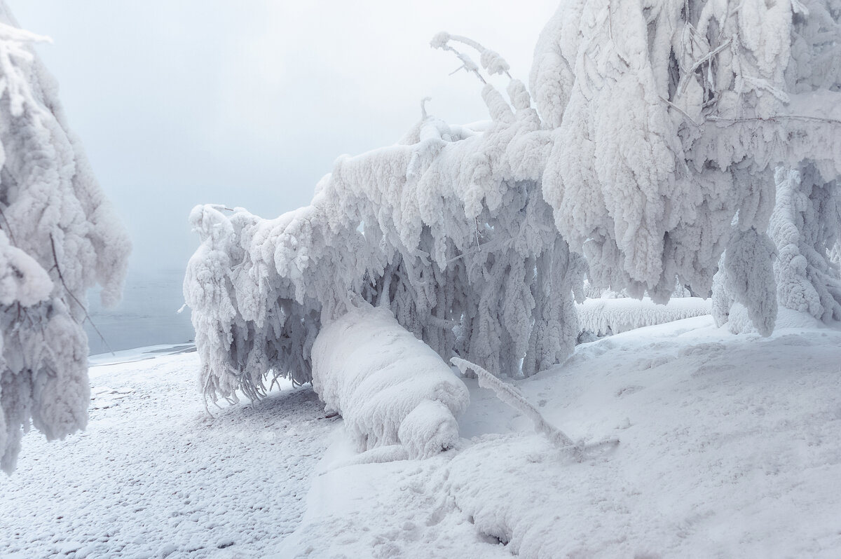 Наморозило - Марина Фомина.