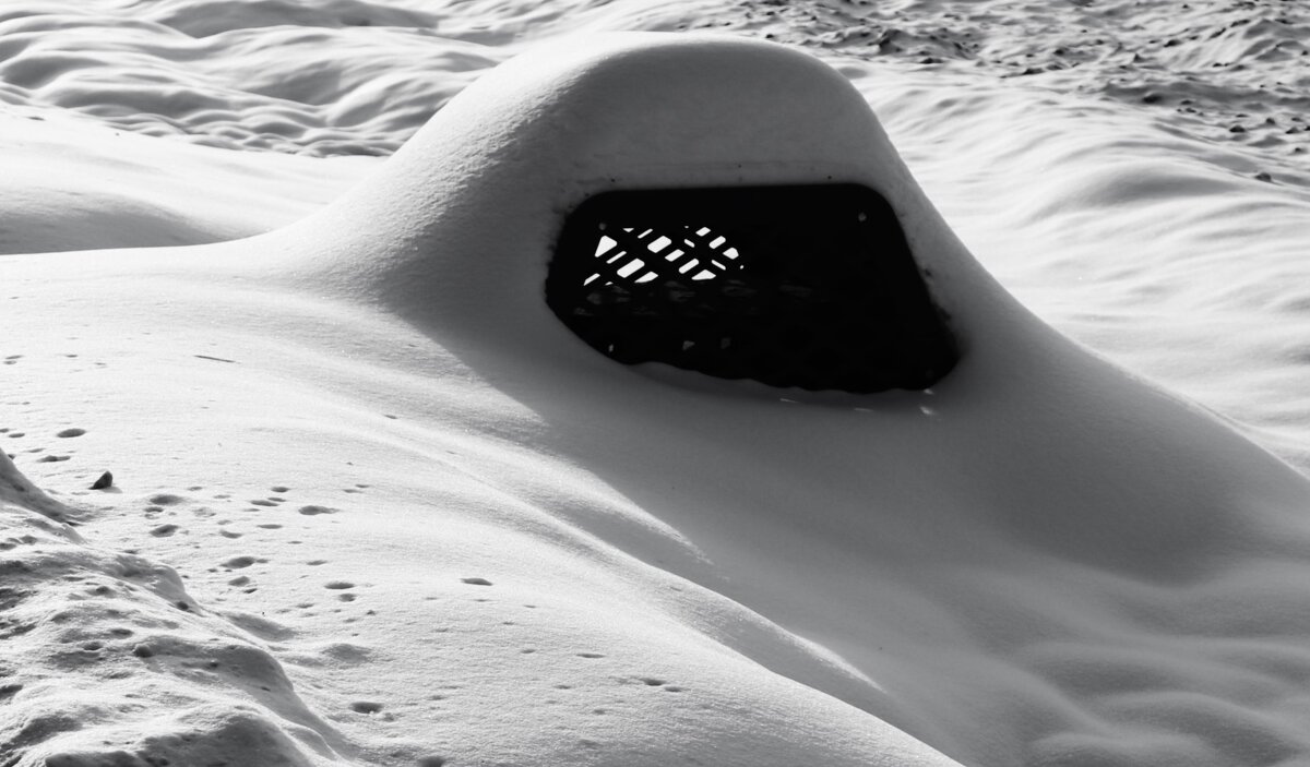 ... - Василий Палий