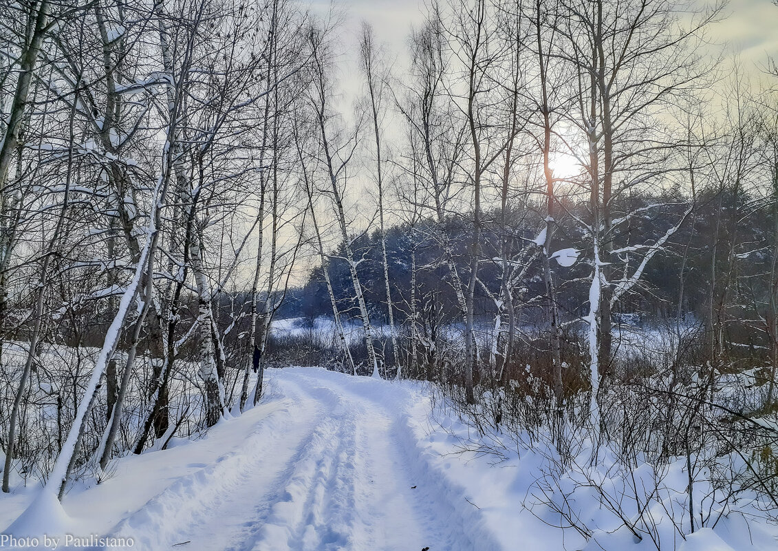 Январский день... - Владимир Жданов