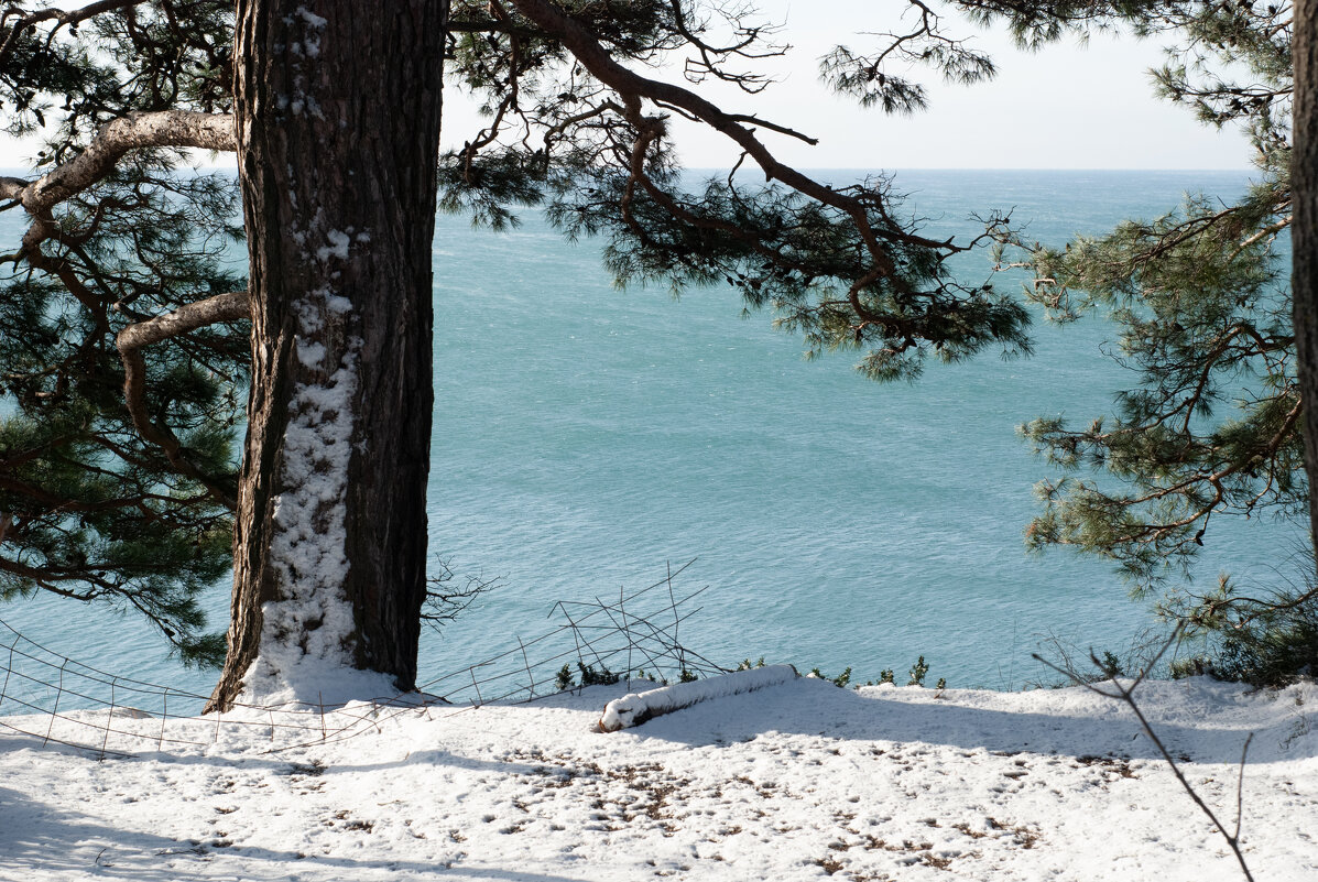 Взгляд в бесконечность - serg 