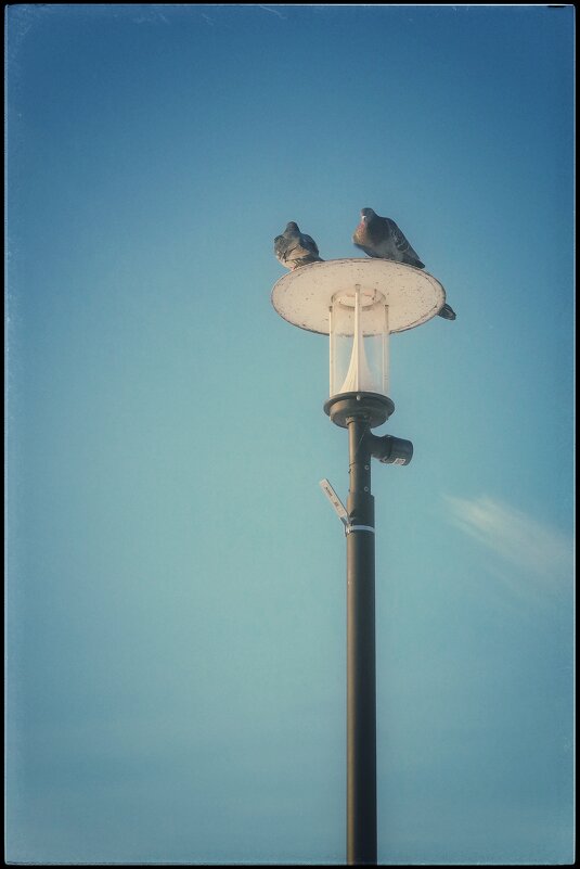 С сегодняшней прогулки... - Руслан 