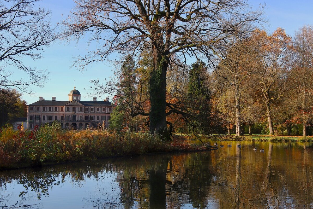 Ноябрьское утро - Юрий. Шмаков Ноябрьское утро - Юрий. Шмаков