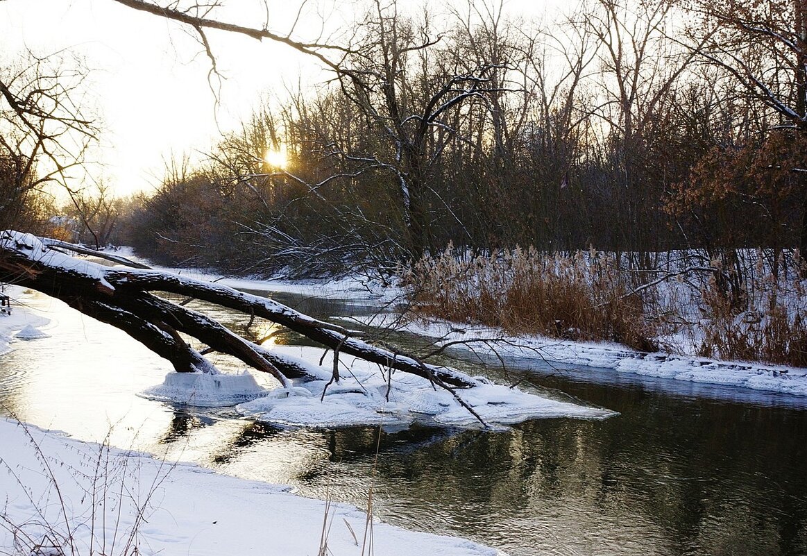 ...морозный вечер... - Александр Герасенков