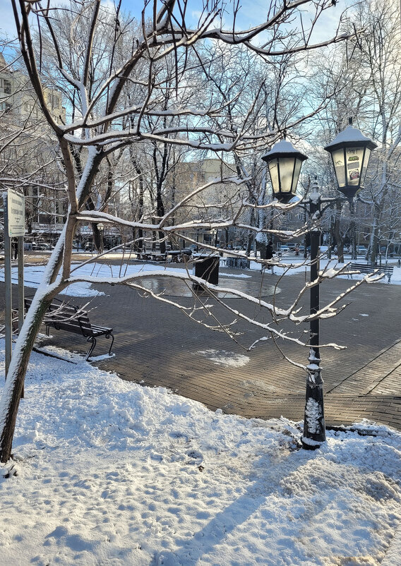 Бывали солнечные дни... - Татьяна Машошина