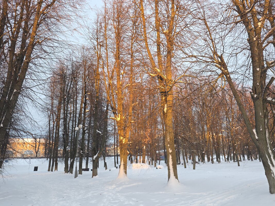 В сквере - Olga Oskolkova