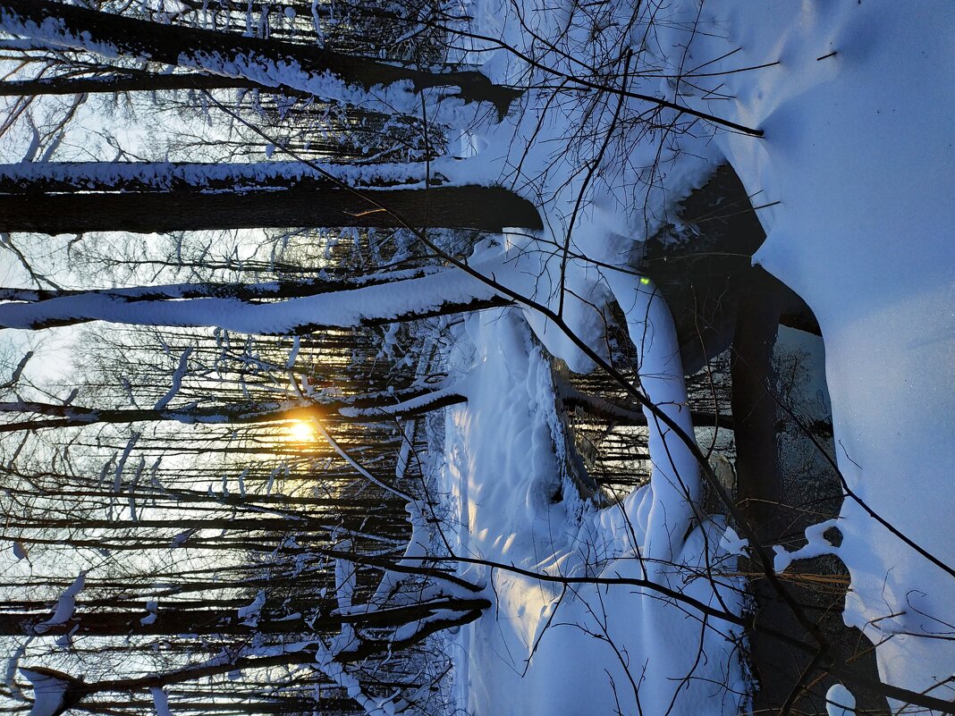 мой Крещенский сочельник - Андрей Лукьянов