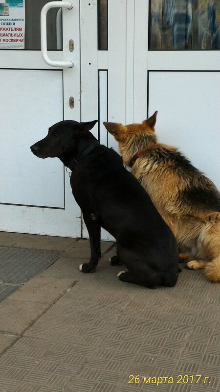 В ожидании чуда - Натали 