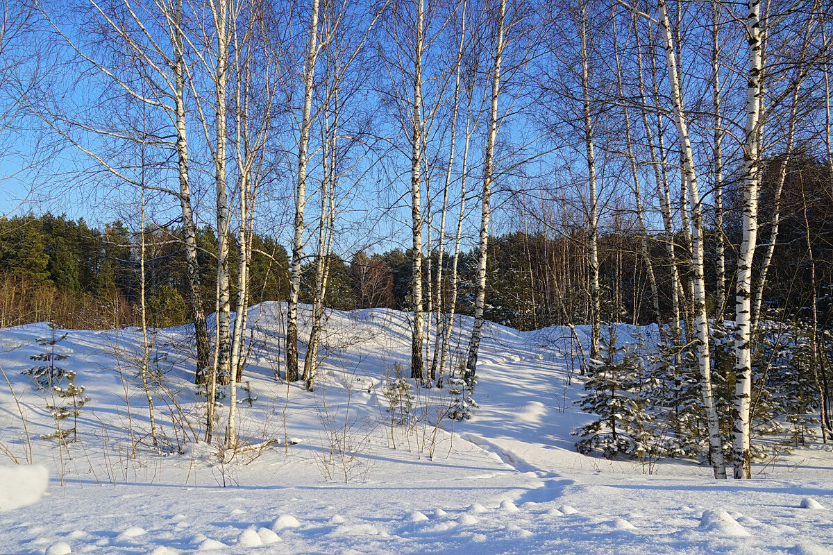 Январские сюжеты - Галина Кан