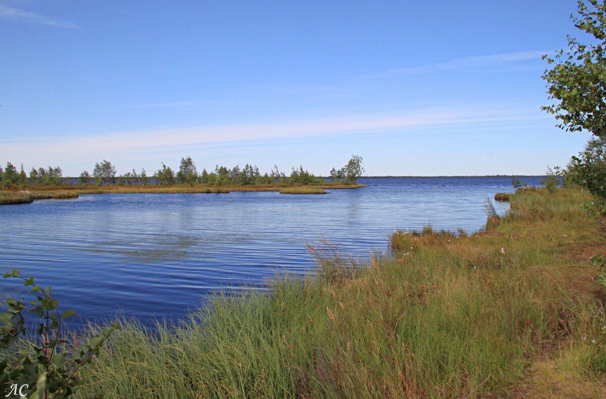 Водоёмы Сургутского района (серия) - Любовь Сахарова