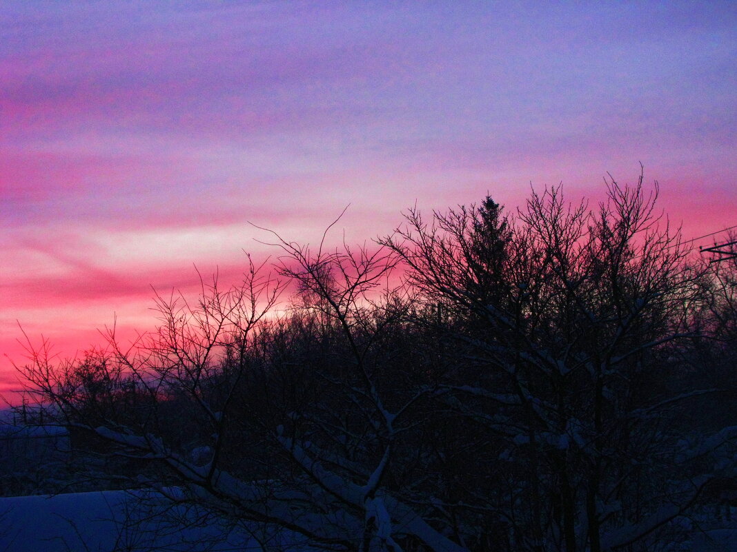 Январское утро - Людмила Смородинская