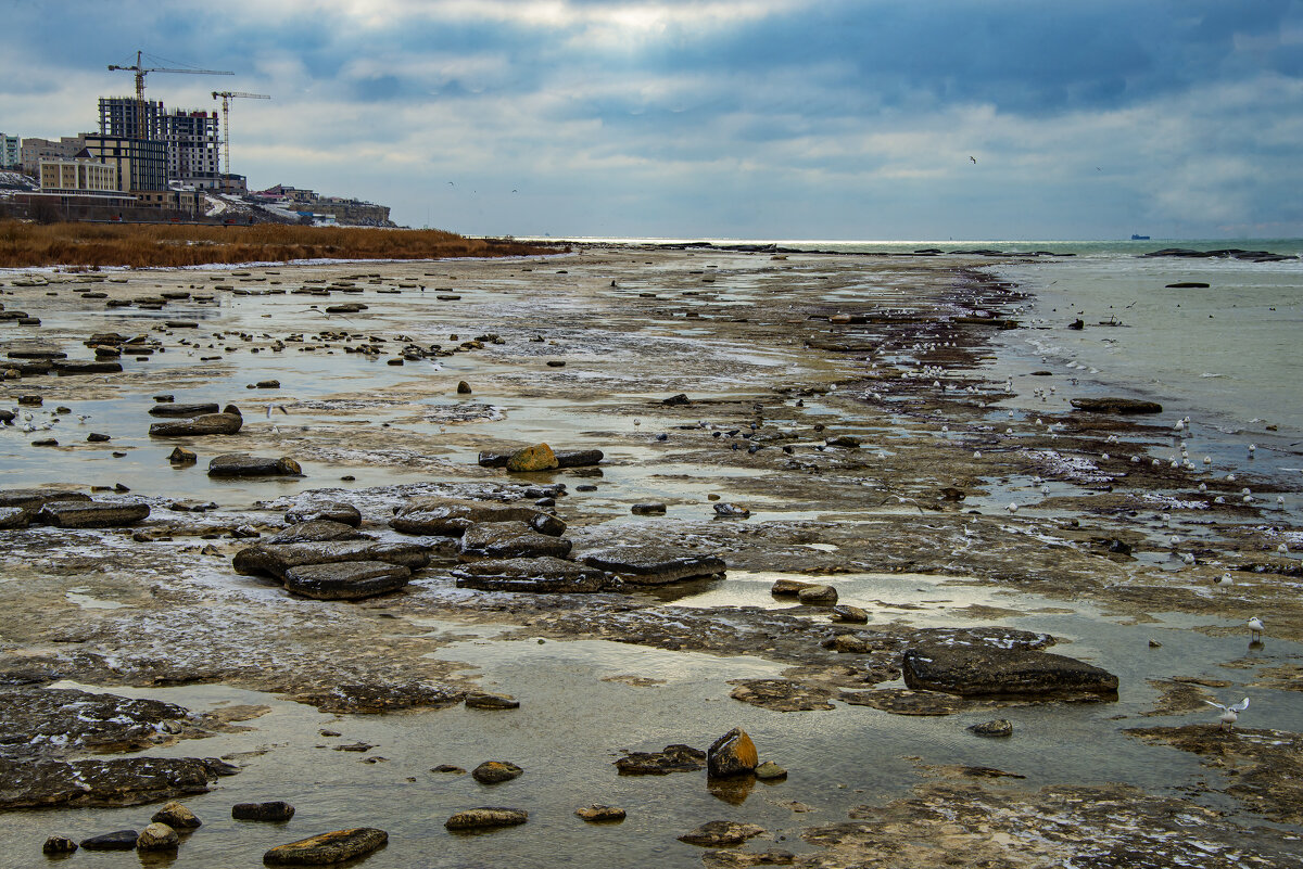 Берег - Анатолий Чикчирный
