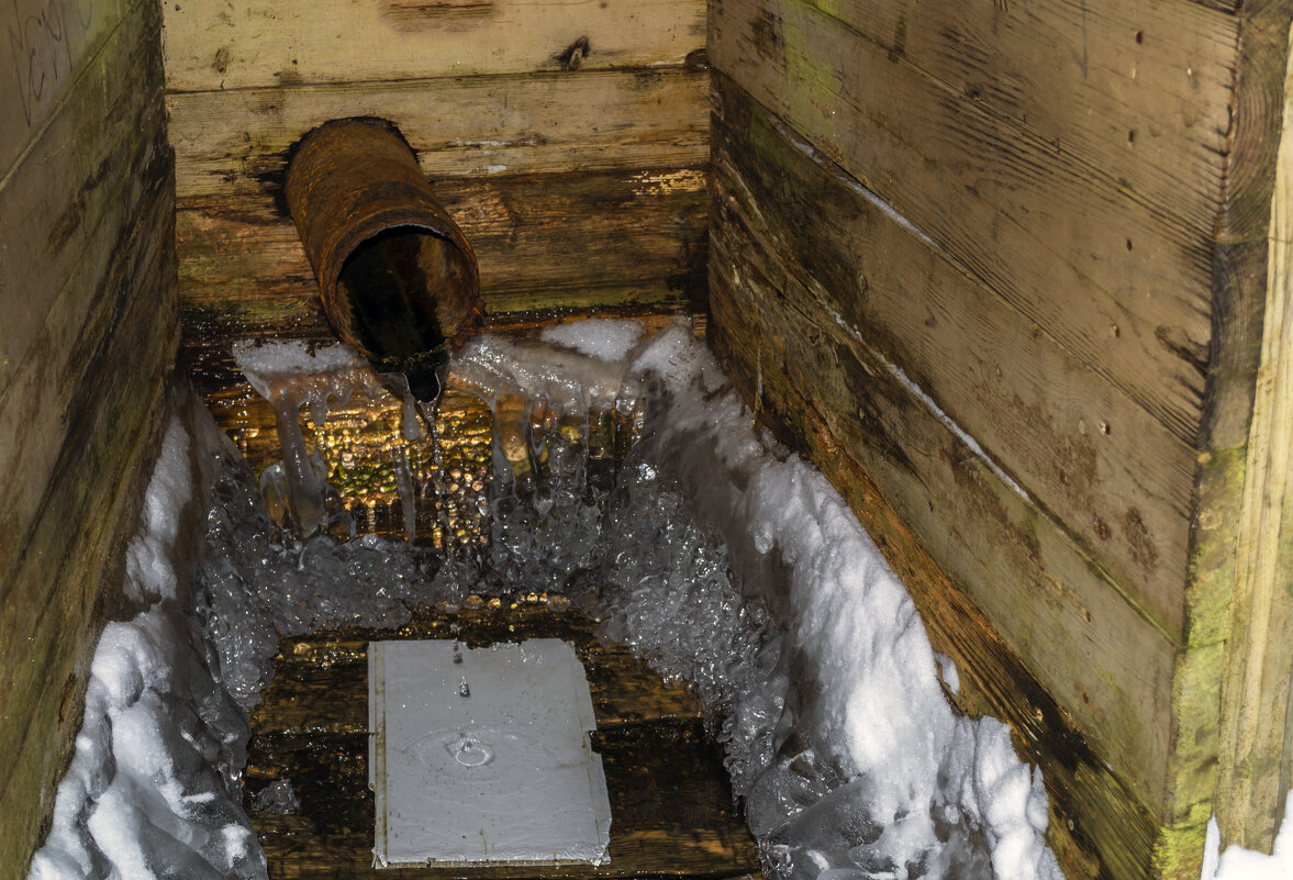 Живой родник. С Крещением Господним! Друзья! - Сергей Цветков