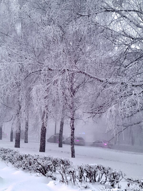 Морозное утро - ирина 