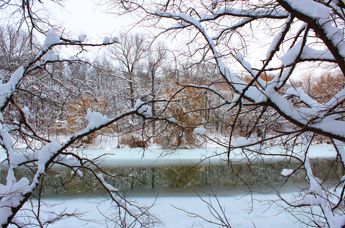 Зима. - Александр. AVG100 ---