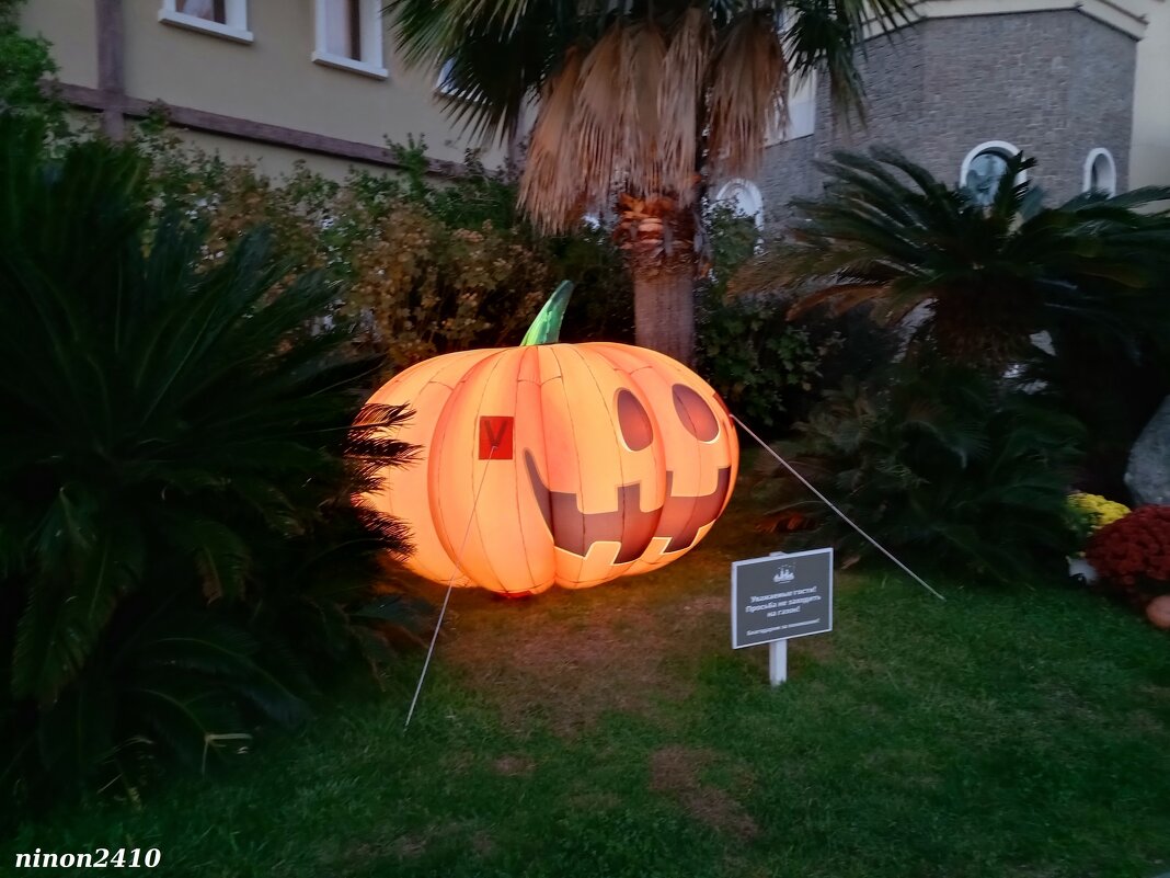 Адлер. Сочи Парк... - Нина Бутко